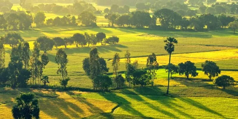 Dịch vụ thám tử tại An Giang